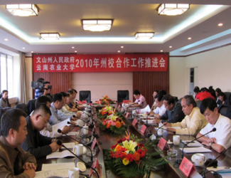 苗鄉(xiāng)三七與云南農(nóng)大簽署校企合作協(xié)議，構(gòu)建了戰(zhàn)略聯(lián)盟關系