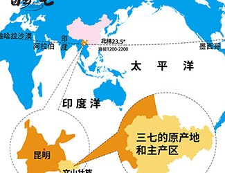 三七產(chǎn)地哪里的最好，廣西田七與云南三七有何區(qū)別