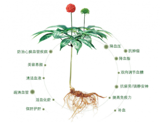 三七救人無國界，美軍飛行員曾受益