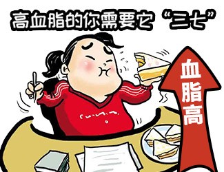 高血脂頭昏天旋地轉(zhuǎn)，三七還我一片天清氣朗