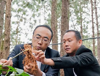 三七良種喜獲豐收，實現(xiàn)產(chǎn)量含量雙突破！