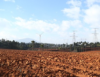 三七土壤危機(jī)何解？官會林教授開出“生態(tài)藥方”