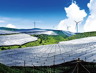 董林林博士如何看待苗鄉(xiāng)全產(chǎn)業(yè)鏈品控管理體系？